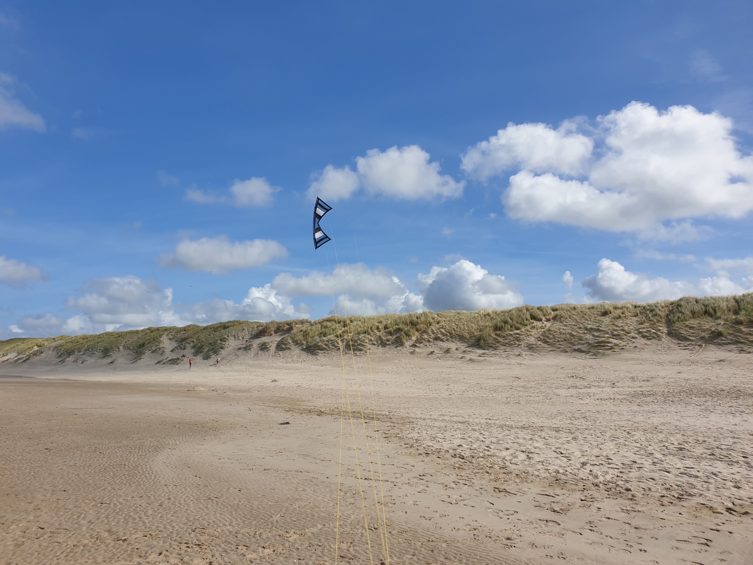 Feine Drachen "BASIC Big Vents"  Sint Maartenzee  Noord Holland