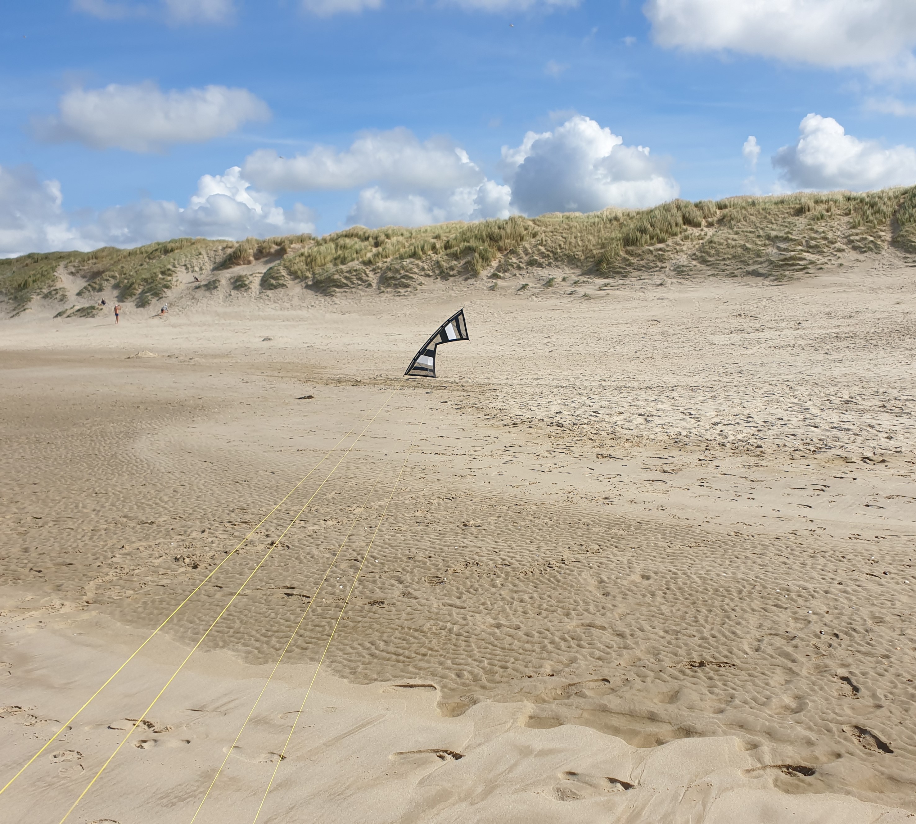 Feine Drachen "BASIC Big Vents"  Sint Maartenzee  Noord Holland