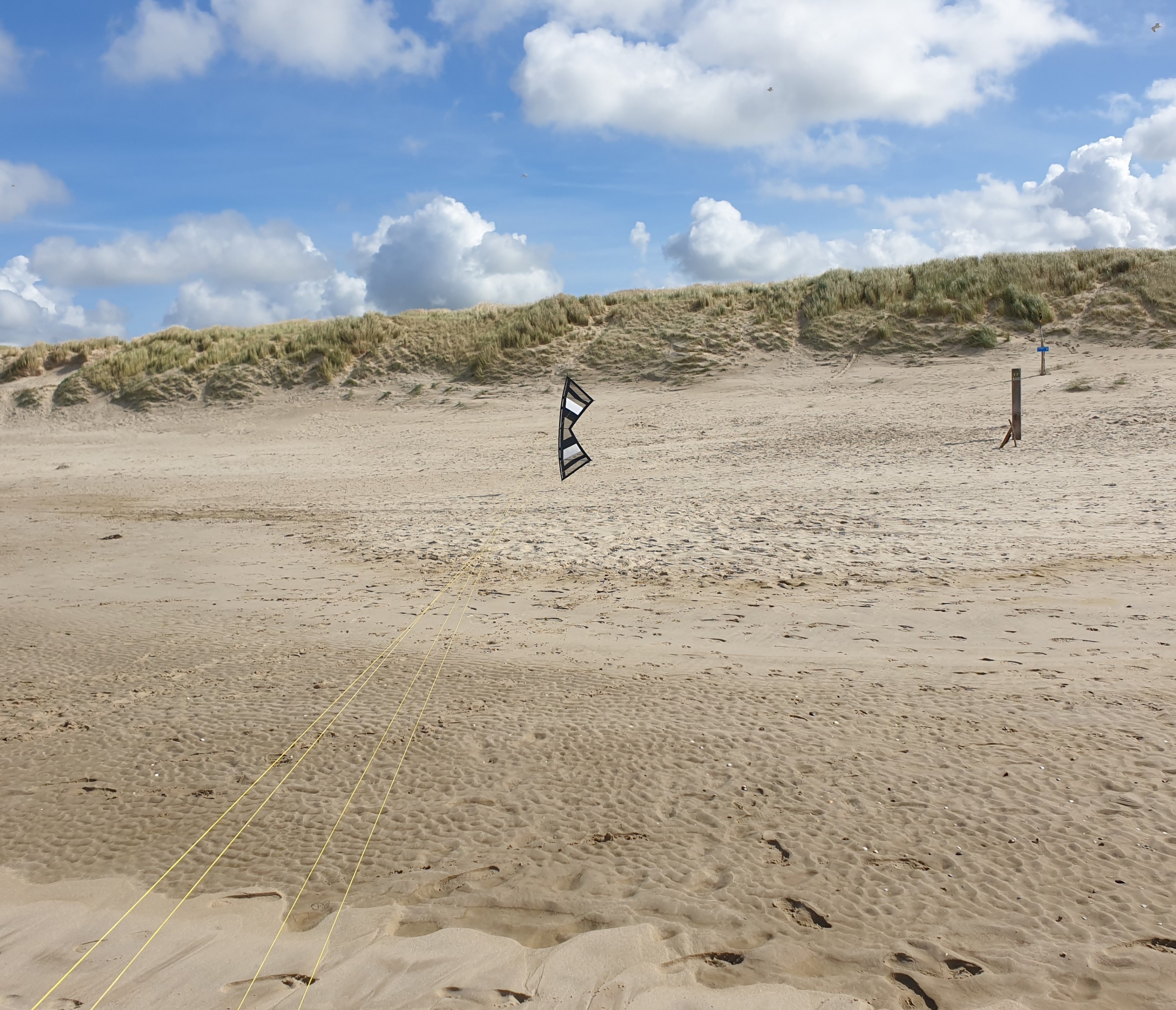 Feine Drachen "BASIC Big Vents"  Sint Maartenzee  Noord Holland