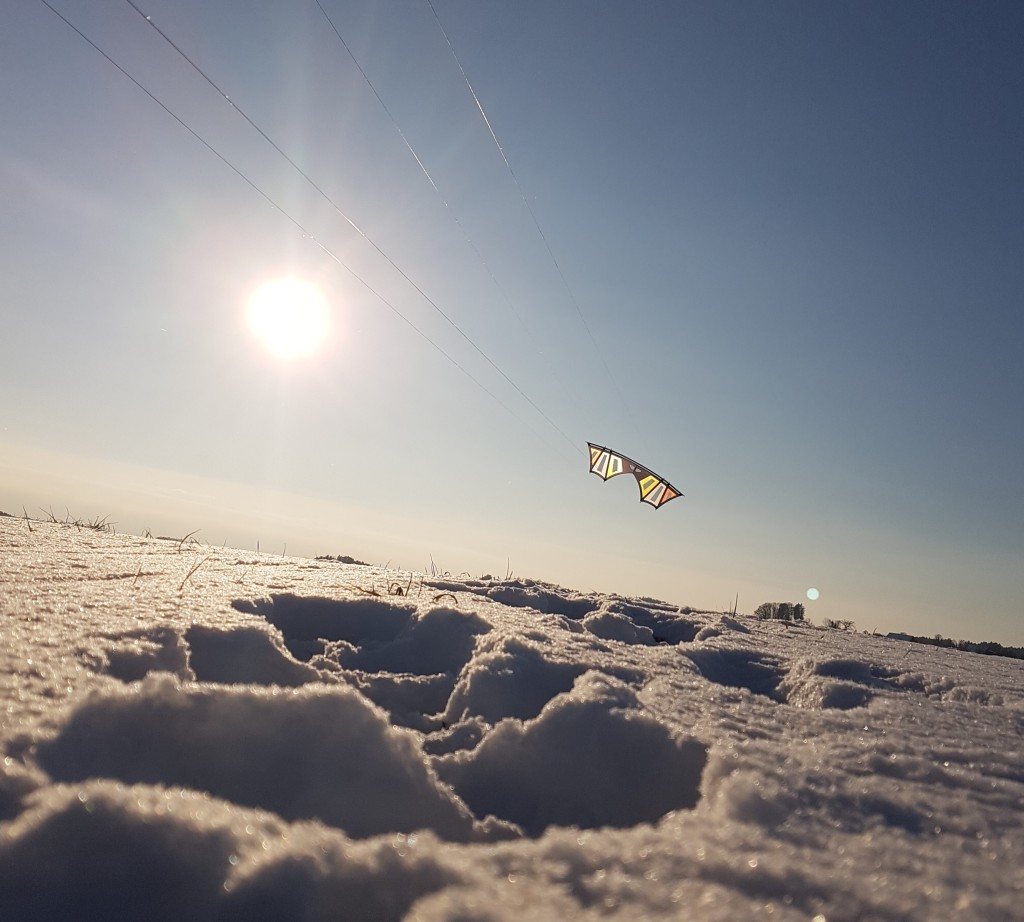 schön gegen die Sonne