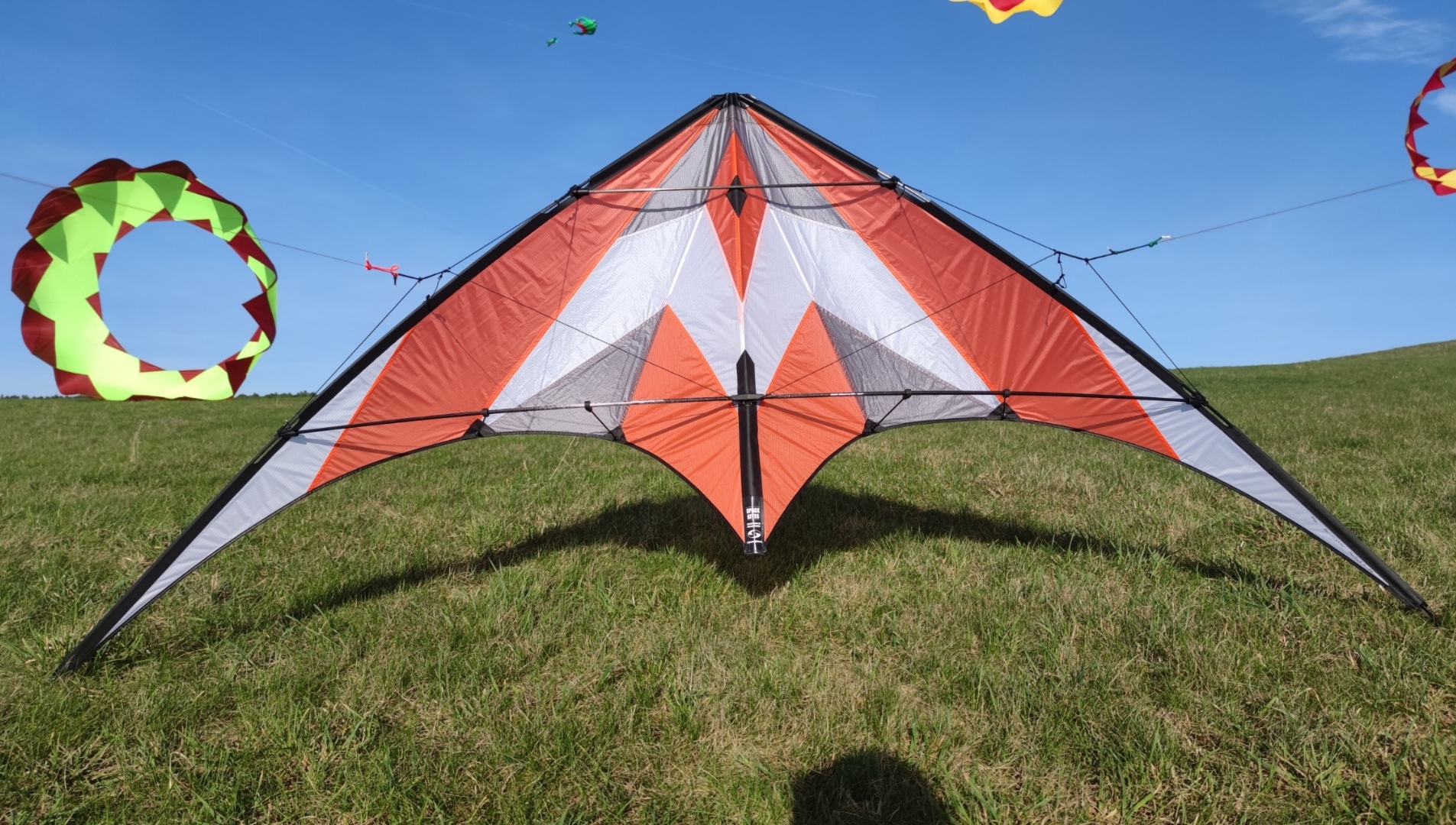 Spacekites Wega