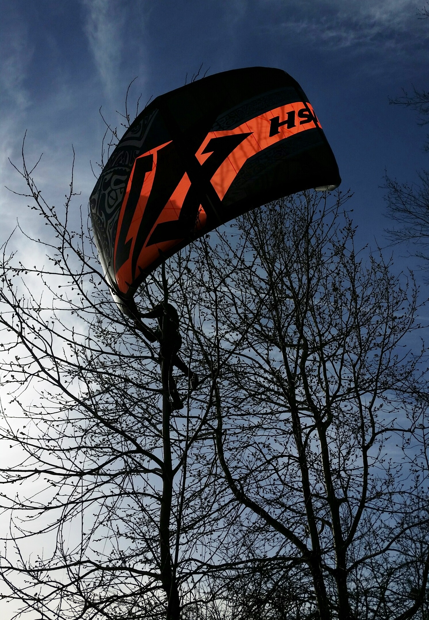 Hängt der Kite erst mal im Baum