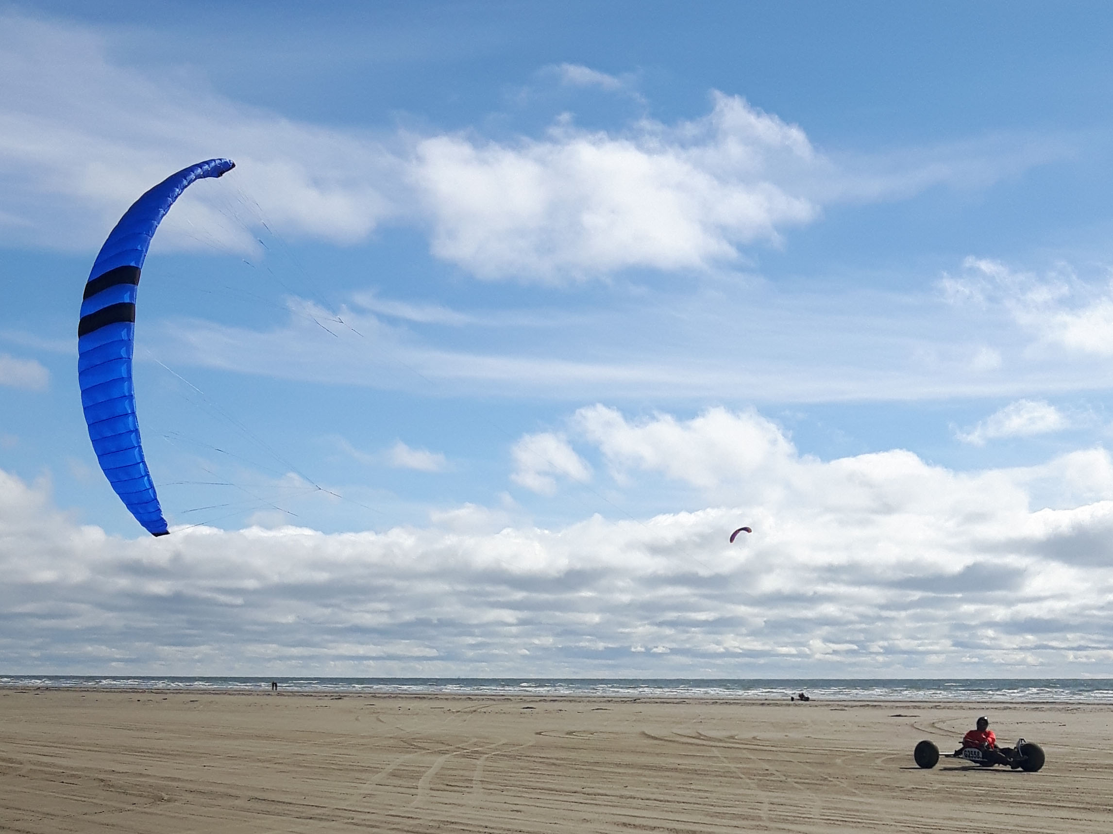 Blau, blau, blau blühen die Cooper Kites...