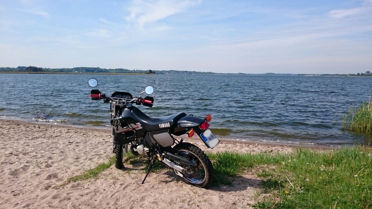 DT125R 1999