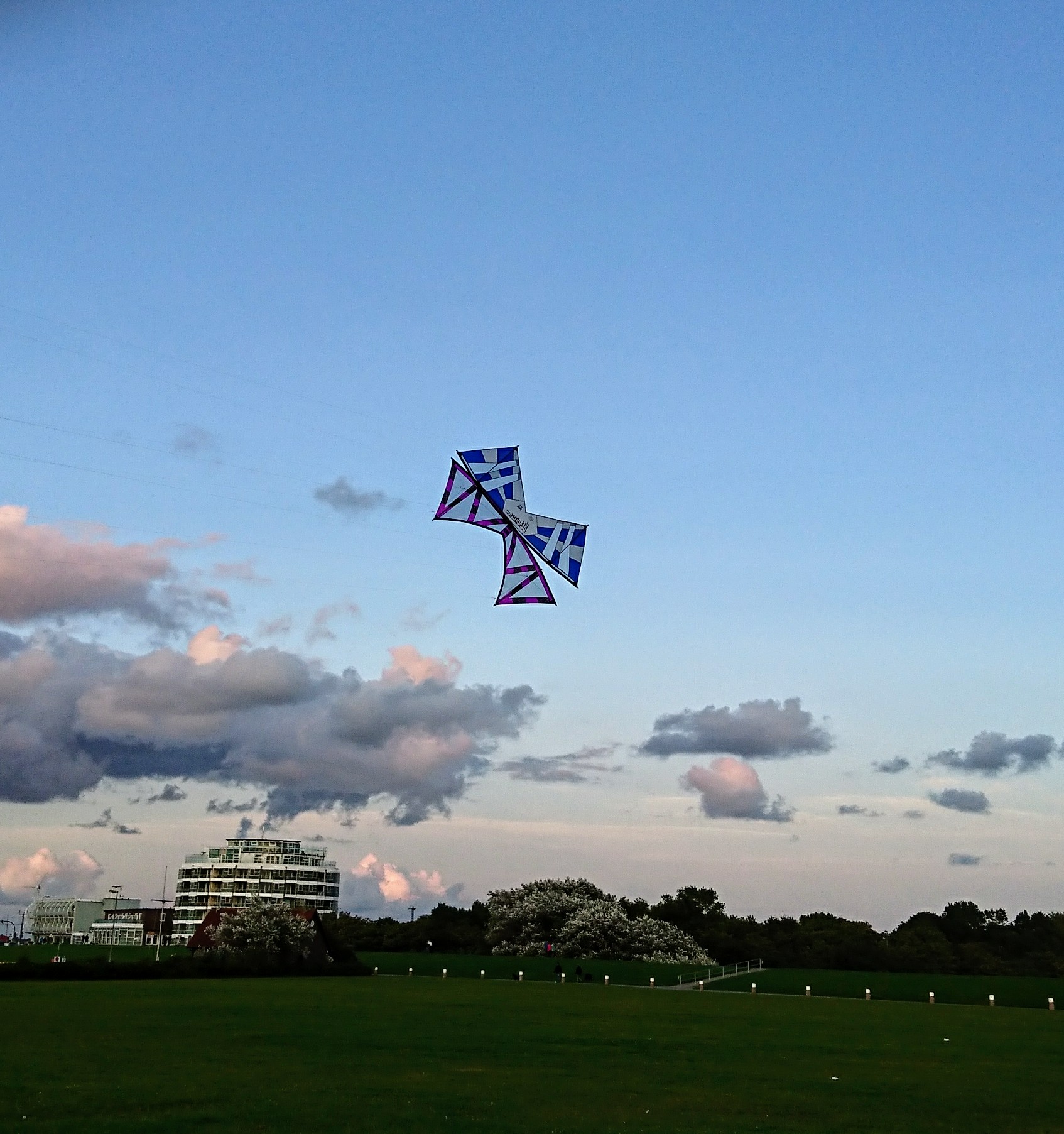 Kissing Kite