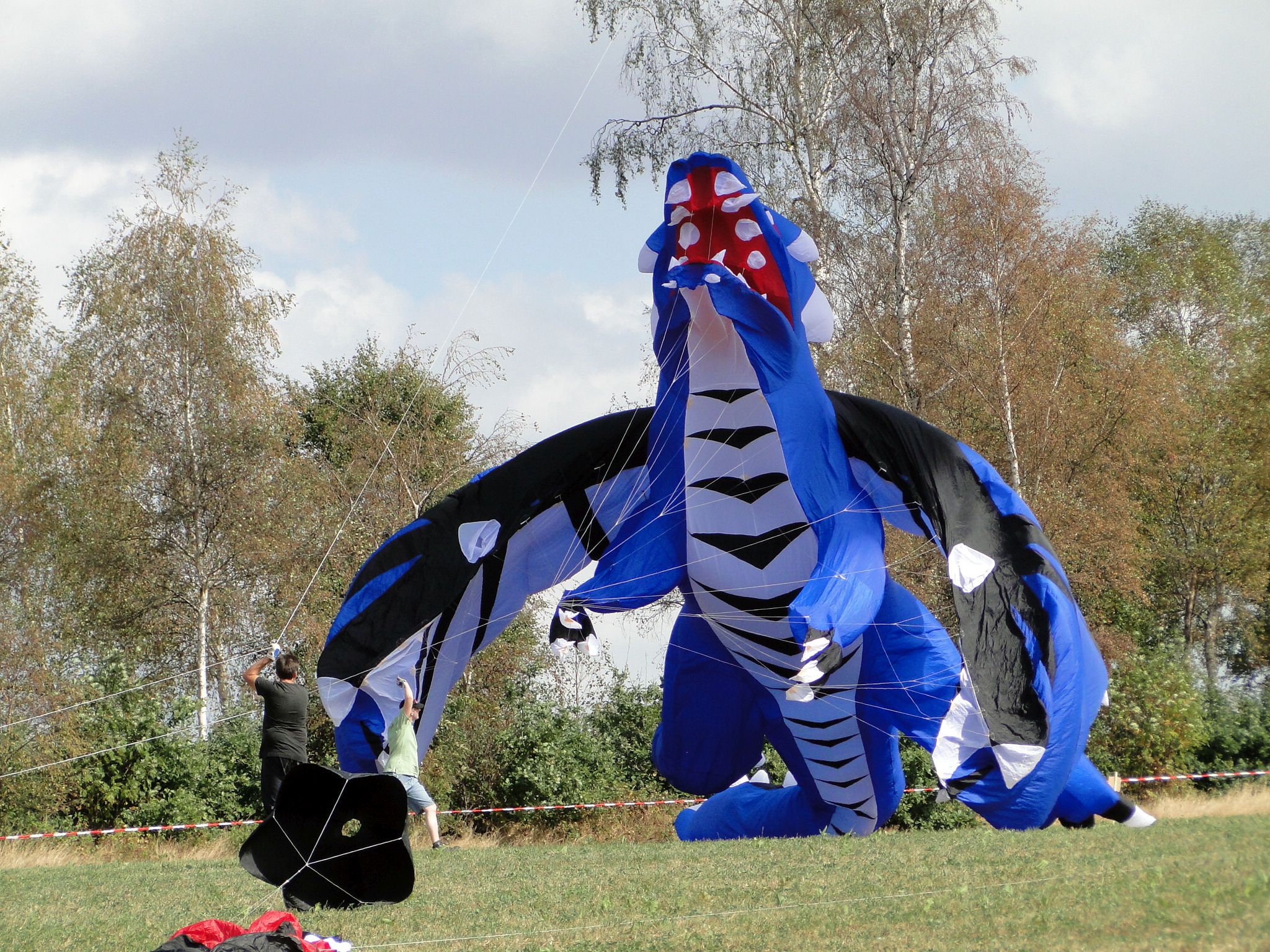 Drachenfest Duderstadt 2016