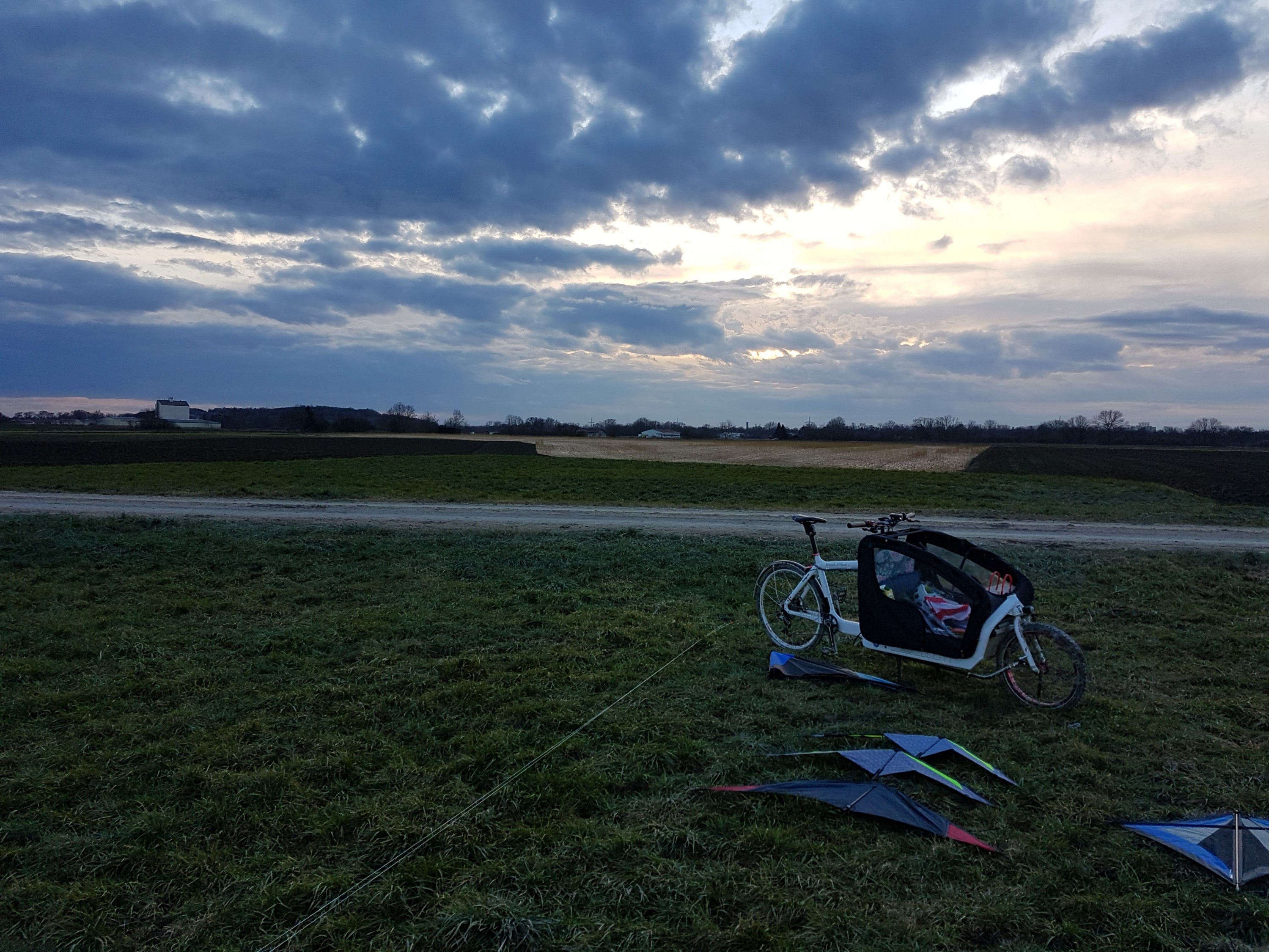 Schöner Tag auf der Wiese