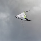 Synthesis (Prism Kites)